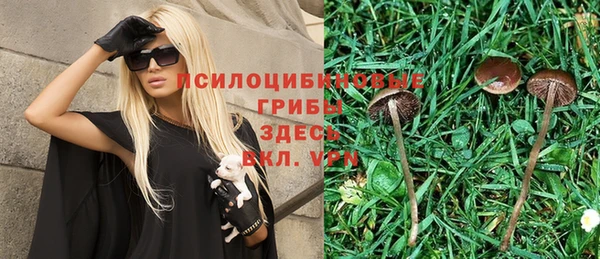 спайс Белоозёрский
