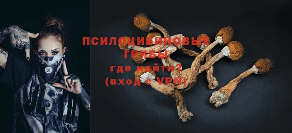 первитин Белокуриха