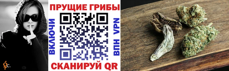Псилоцибиновые грибы GOLDEN TEACHER Лыткарино